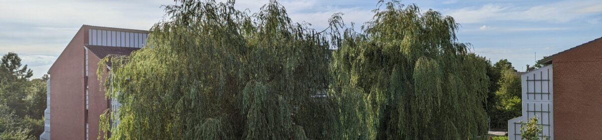 E/F Frugtvangen